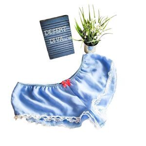 Victoria's Secret Womens Lingerie Blue L Sheer Booty Frilly Sexy Flirty Shorts